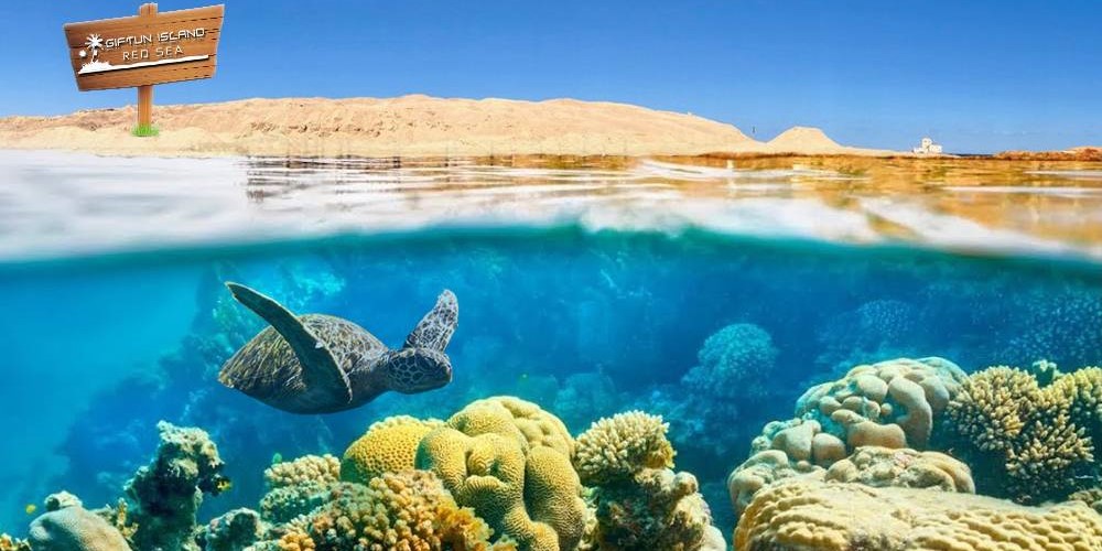 Giftun Island: A Tropical Escape in the Red Sea