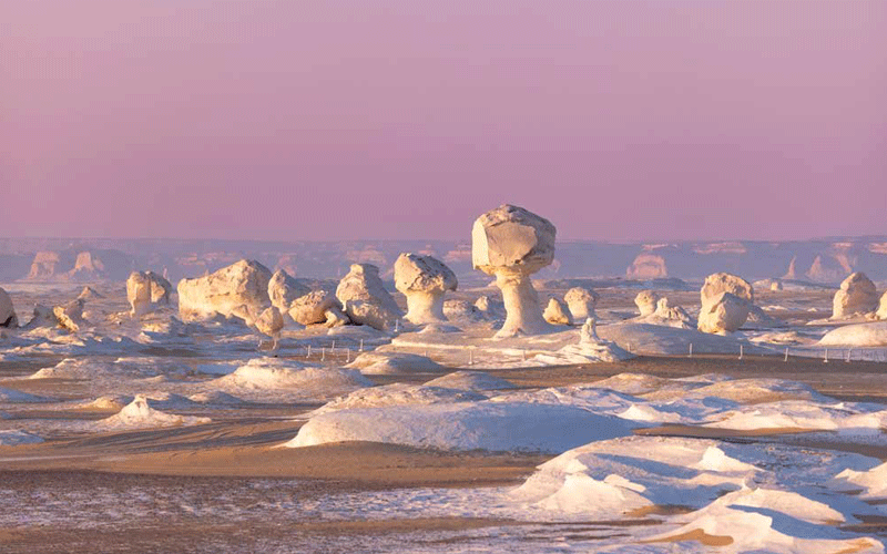   The White Desert 