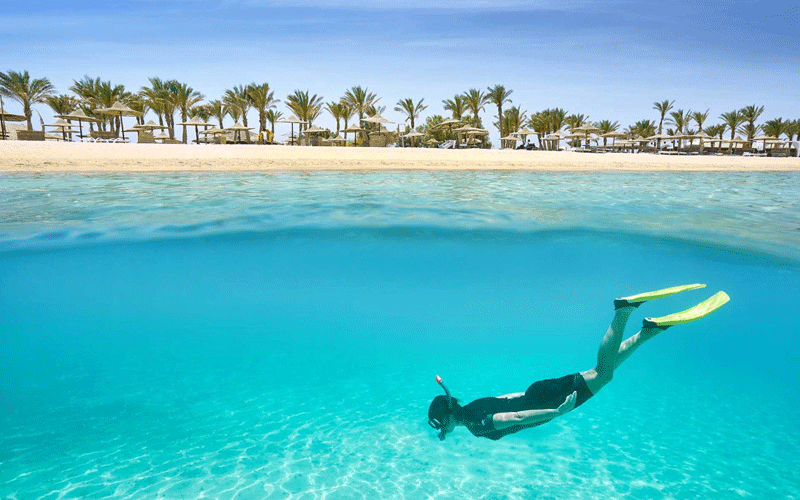   Snorkeling 