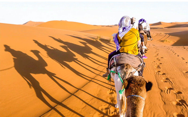   Desert Safari Adventure 