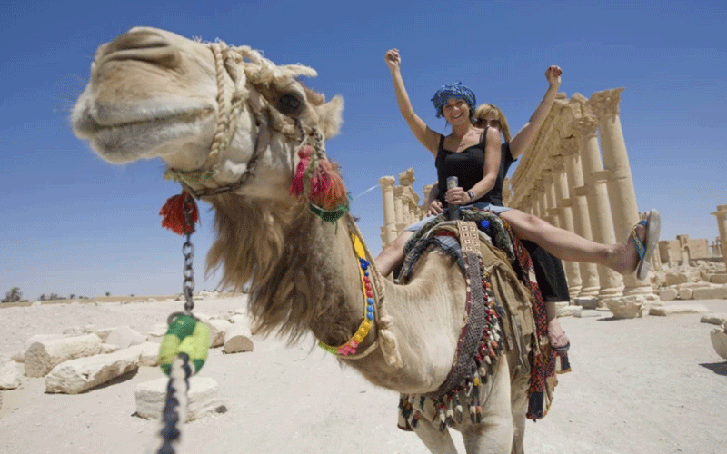   Camel Ride 